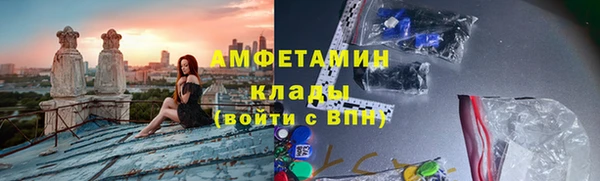 гашик Алексин
