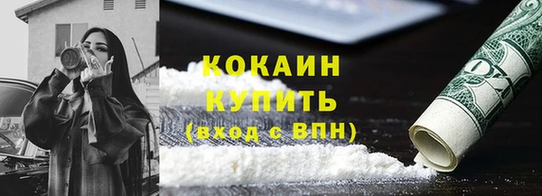 гашик Алексин