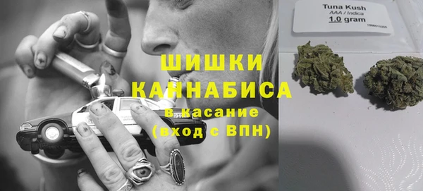 молекула духа Алзамай