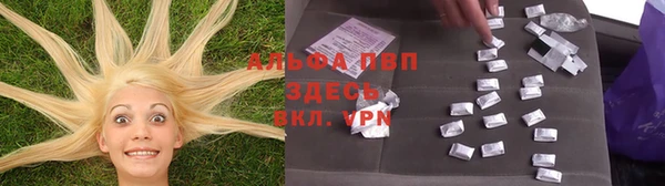 молекула духа Алзамай