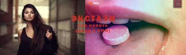 гашик Алексин