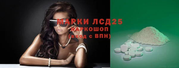 гашик Алексин