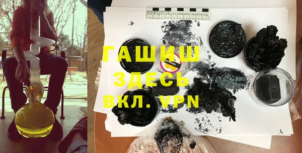 гашик Алексин