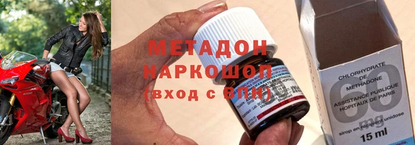 гашик Алексин