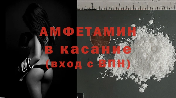 гашик Алексин