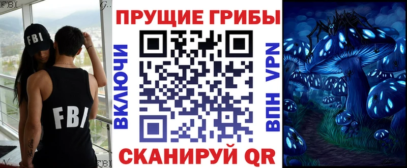 Галлюциногенные грибы Psilocybe где купить наркоту Татарск